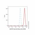 beta Actin Mouse mAb (AF405)