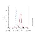 alpha-Smooth Muscle Actin Mouse mAb (AF488)