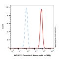 Caveolin-1 Mouse mAb (AF488)