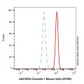 Caveolin-1 Mouse mAb (AF555)