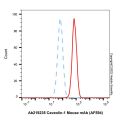 Caveolin-1 Mouse mAb (AF594)