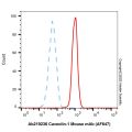 Caveolin-1 Mouse mAb (AF647)
