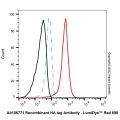 Goat Anti-Rabbit IgG H&L (LumiDye™ Red 690)