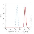 Profilin 1 Mouse mAb (AF405)