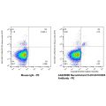Recombinant CLEC4C/CD303 Antibody