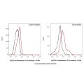Recombinant CD103 Antibody