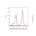 Recombinant CD31 Antibody
