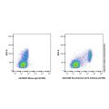 Recombinant CD14 Antibody (AF405)