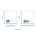 Recombinant CD19 Antibody (AF405)