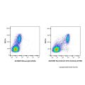 Recombinant CD14 Antibody (AF405)