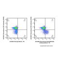 Recombinant EpCAM/CD326 Antibody (Biotin) 
