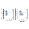 Recombinant EpCAM/CD326 Antibody (AF488)