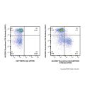 Recombinant EpCAM/CD326 Antibody (AF555)
