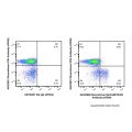Recombinant EpCAM/CD326 Antibody (AF594)
