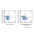 Recombinant EpCAM/CD326 Antibody (AF660)