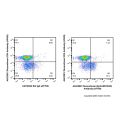 Recombinant EpCAM/CD326 Antibody (AF700)