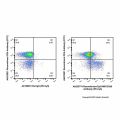 Recombinant EpCAM/CD326 Antibody (PE-Cy5) 