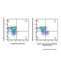 Recombinant EpCAM/CD326 Antibody (PE-Cy7)