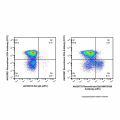 Recombinant EpCAM/CD326 Antibody (APC)