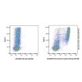 Recombinant Ly6g Antibody (AF405)