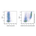 Recombinant Ly6g Antibody (AF647)