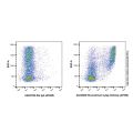 Recombinant Ly6g Antibody (AF660)