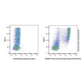 Recombinant Ly6g Antibody (Pacific Blue)