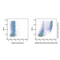 Recombinant Ly6g Antibody (FITC)