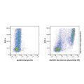 Recombinant Ly6g Antibody (PE)