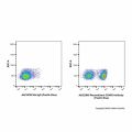 Recombinant CD45R Antibody (Pacific Blue)