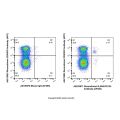 Recombinant IL3RA/CD123 Antibody (AF405)