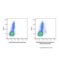 Recombinant IL3RA/CD123 Antibody (Pacific Blue)
