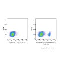Recombinant CD20 Antibody (Pacific Blue)