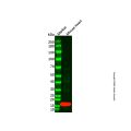 Myoglobin Mouse mAb