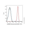 Mouse Anti-Human IgG (PE-Cy7)