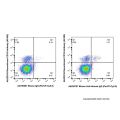 Mouse Anti-Human IgG (PerCP-Cy5.5)