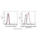 Recombinant IL-2 Receptor alpha/CD25 Antibody (AF405)