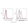 Recombinant IL-2 Receptor alpha/CD25 Antibody (Pacific Blue) 