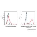 Recombinant IL-2 Receptor alpha/CD25 Antibody (PE)