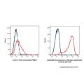 Recombinant IL-2 Receptor alpha/CD25 Antibody (PE-Cy5)