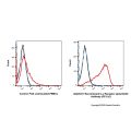 Recombinant IL-2 Receptor alpha/CD25 Antibody (PE-Cy7)