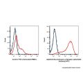 Recombinant IL-2 Receptor alpha/CD25 Antibody (APC) 