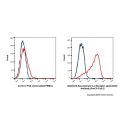 Recombinant IL-2 Receptor alpha/CD25 Antibody (PerCP-Cy5.5) 