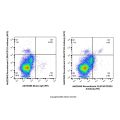 Recombinant CLEC4C/CD303 Antibody (PE) 