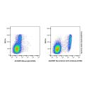 Recombinant CD14 Antibody (AF405)
