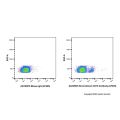 Recombinant CD19 Antibody (AF405)