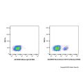Recombinant CD19 Antibody (AF488)