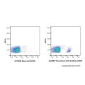 Recombinant CD19 Antibody (AF555)