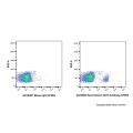 Recombinant CD19 Antibody (AF594)