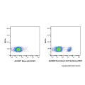 Recombinant CD19 Antibody (AF647)